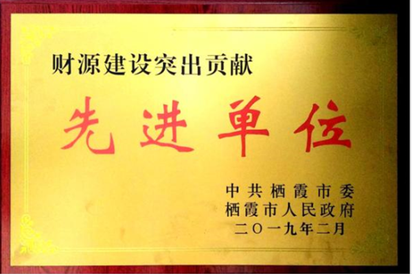 财源(yuan)建設(she)突出(chu)貢獻(xian)先進(jin)單位(wei)
