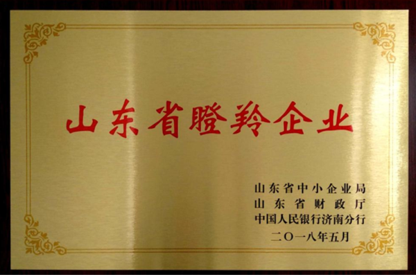 山東(dong)省瞪(deng)羚企(qi)業